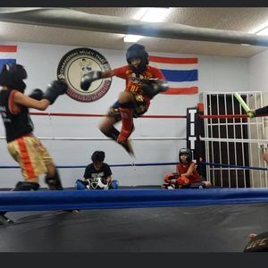 Meet your Posher, Jasper